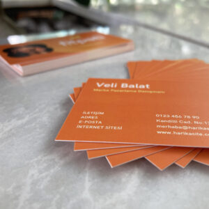 250 Adet Standart Kartvizit – 250 TL